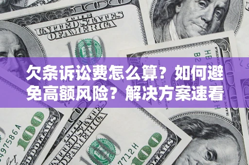 北京欠条诉讼费怎么算？如何避免高额风险？解决方案速看！
