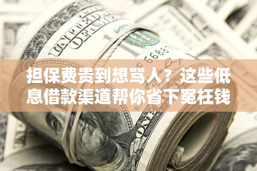 北京担保费贵到想骂人？这些低息借款渠道帮你省下冤枉钱