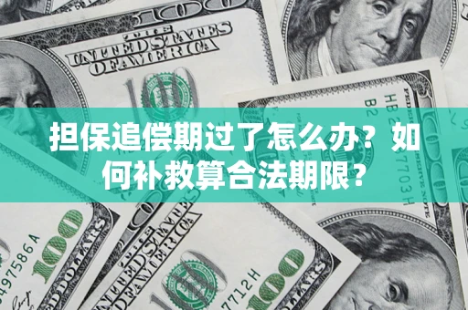 北京担保追偿期过了怎么办？如何补救算合法期限？