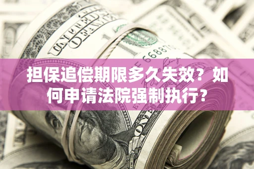 北京担保追偿期限多久失效？如何申请法院强制执行？