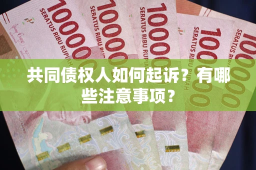 北京共同债权人如何起诉？有哪些注意事项？